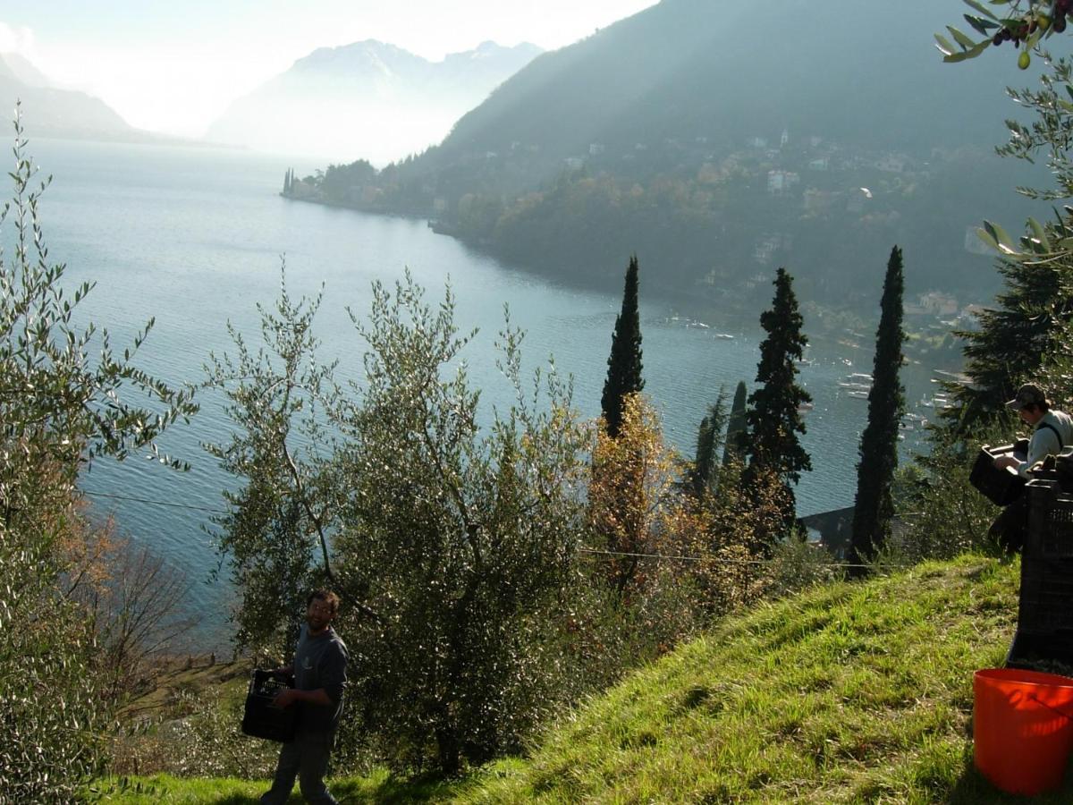 Casa Indipendente "Il Sole Delle Grigne" Vila Bellagio Exterior foto